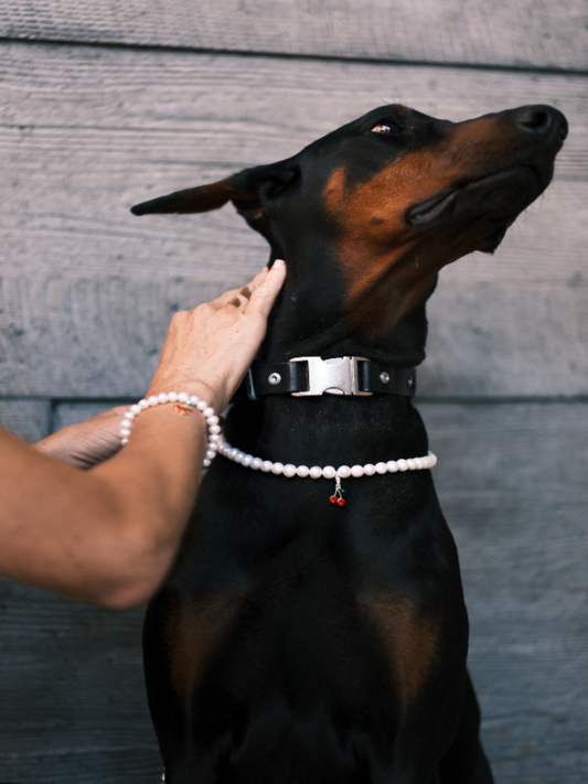 Customizable Freshwater Pearl Necklace for Dogs