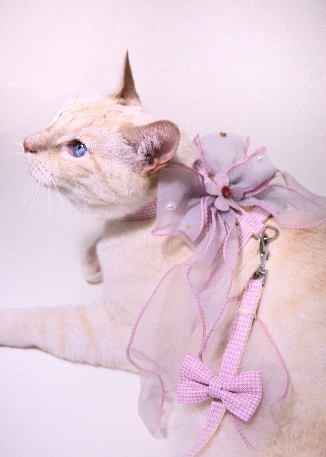Cherry Blossom Harness Set For Cat (leash included)