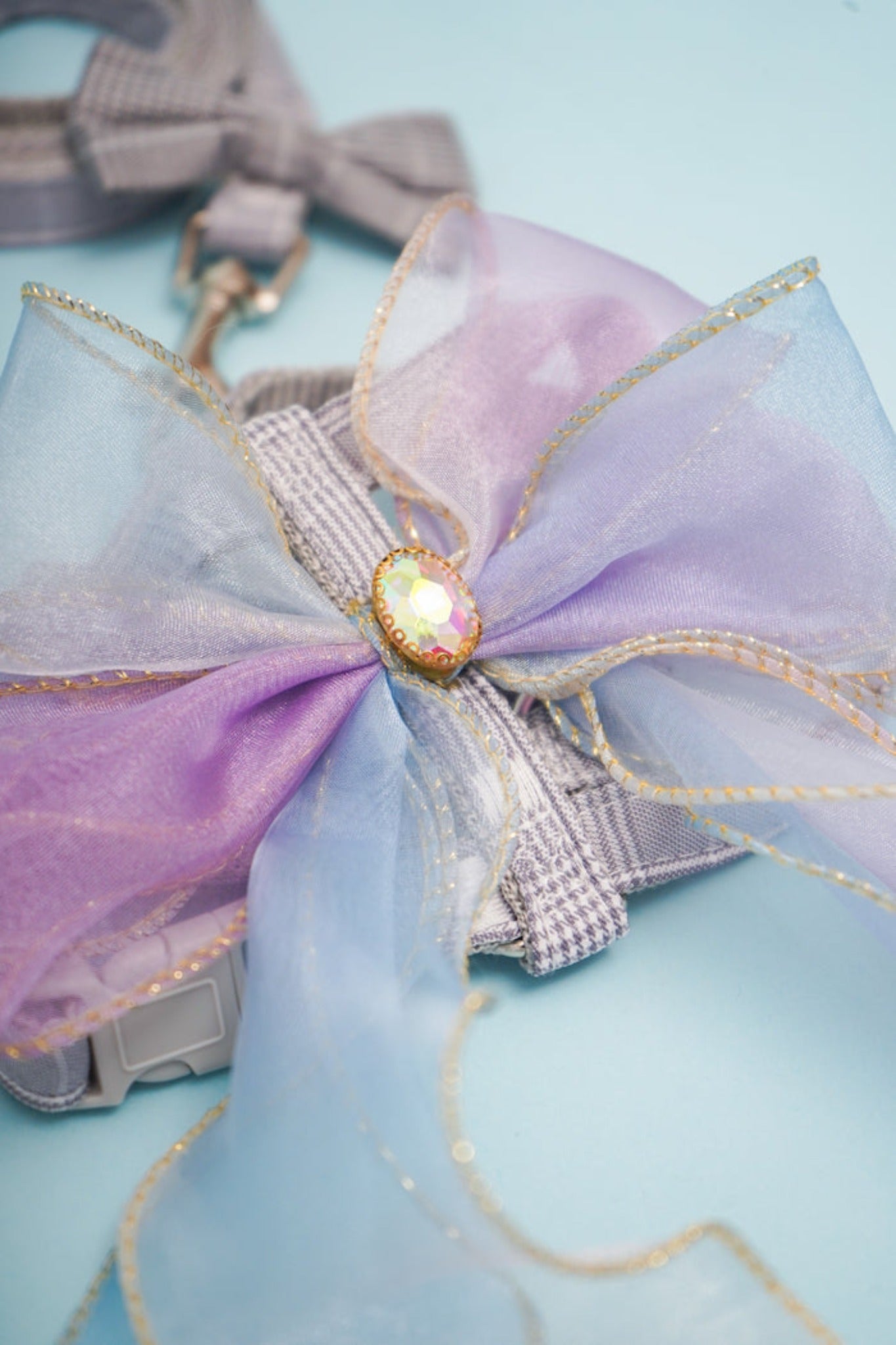 Gradient Mesh Butterfly Harness For Dog (leash included)