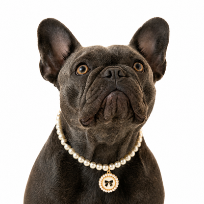 Purry Purry Faux Pearl Adjustable Dog Necklace – Customizable Charms