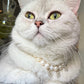 Purry Purry Breakaway Genuine Freshwater Pearl Adjustable Cat Necklace – Customizable