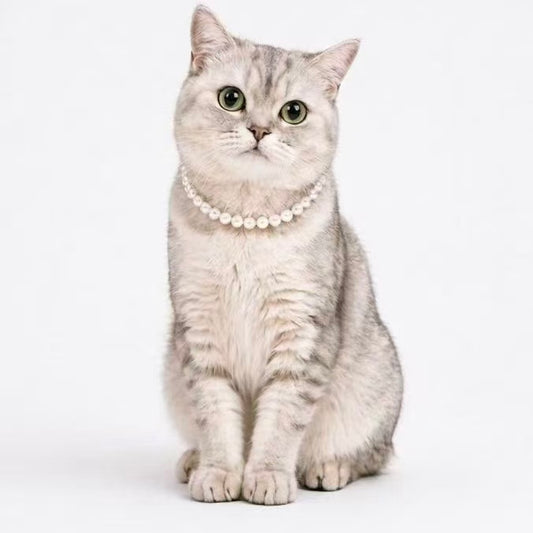 Purry Purry Breakaway Faux Pearl Adjustable Cat Necklace – Customizable Charms