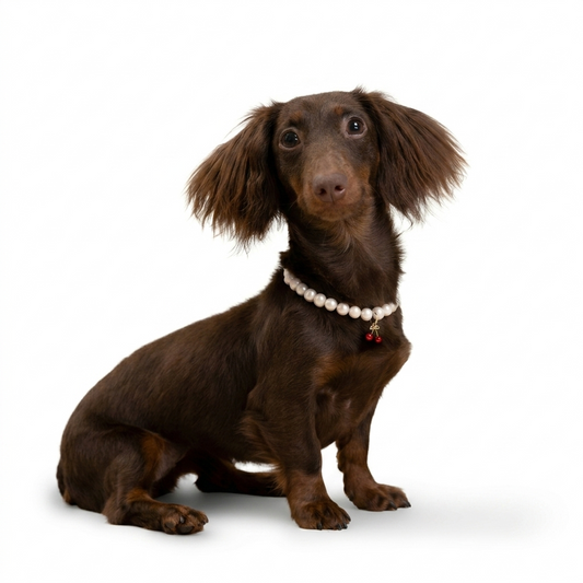 Purry Purry Genuine Freshwater Pearl Adjustable Dog Necklace – Customizable Charms