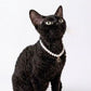 Purry Purry Breakaway Faux Pearl Adjustable Cat Necklace – Customizable Charms