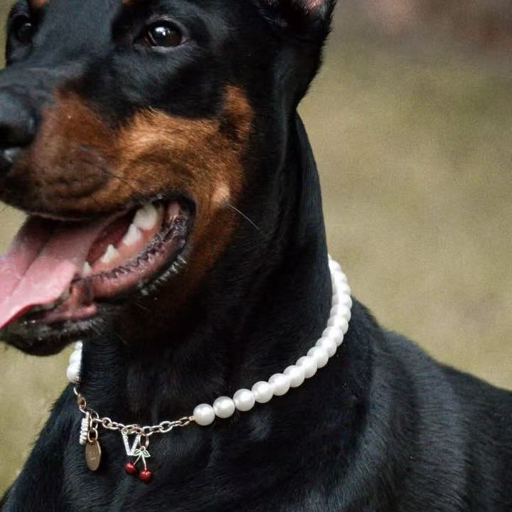 Purry Purry Genuine Freshwater Pearl Adjustable Dog Necklace – Customizable Charms