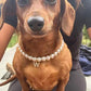Purry Purry Faux Pearl Adjustable Dog Necklace – Customizable Charms