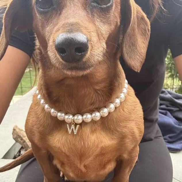 Purry Purry Faux Pearl Adjustable Dog Necklace – Customizable Charms