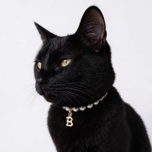 Purry Purry Breakaway Faux Pearl Adjustable Cat Necklace – Customizable Charms