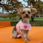 Purry Purry Customizable Dog Harness Set – Personalized Patches + Matching Leash, Adjustable