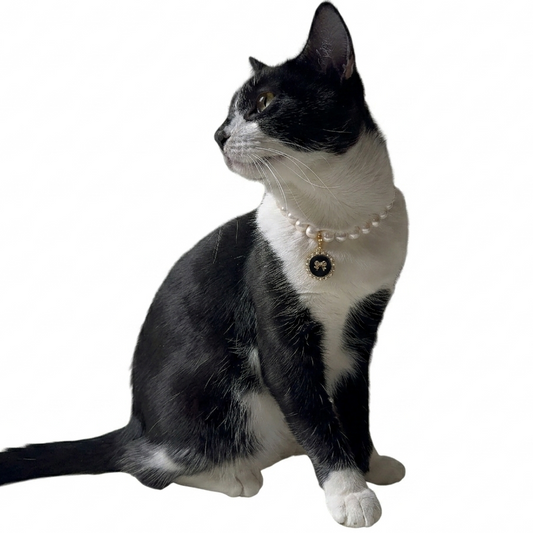 Purry Purry Breakaway Genuine Freshwater Pearl Adjustable Cat Necklace – Customizable