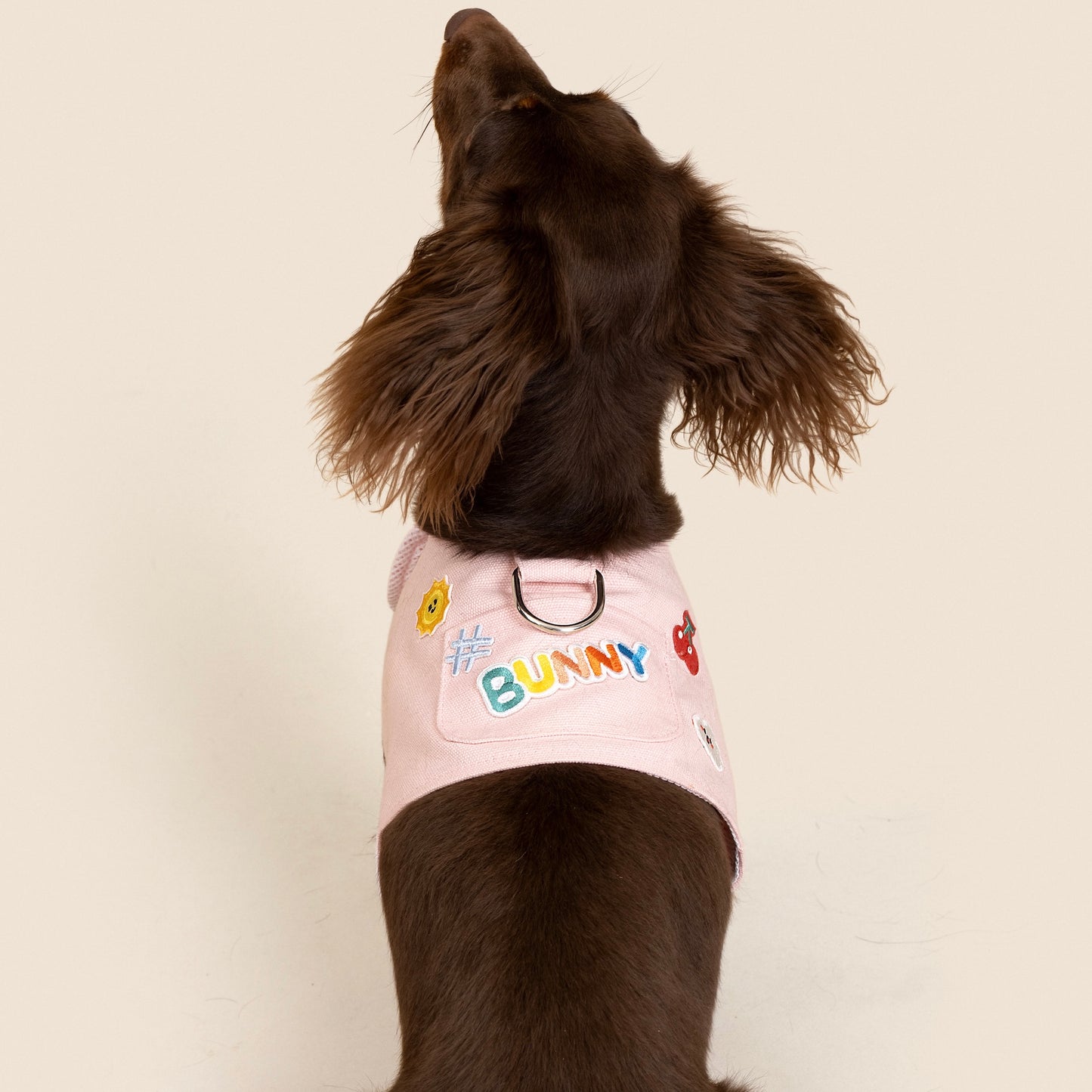 Purry Purry Customizable Dog Harness Set – Personalized Patches + Matching Leash, Adjustable