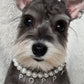 Purry Purry Genuine Freshwater Pearl Adjustable Dog Necklace – Customizable Charms