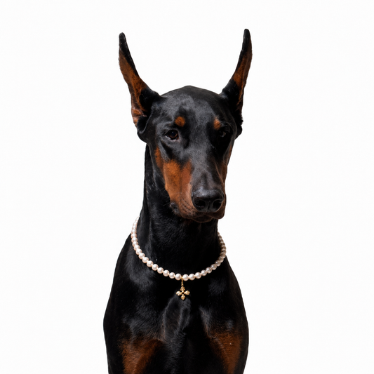 Purry Purry Genuine Freshwater Pearl Adjustable Dog Necklace – Customizable Charms