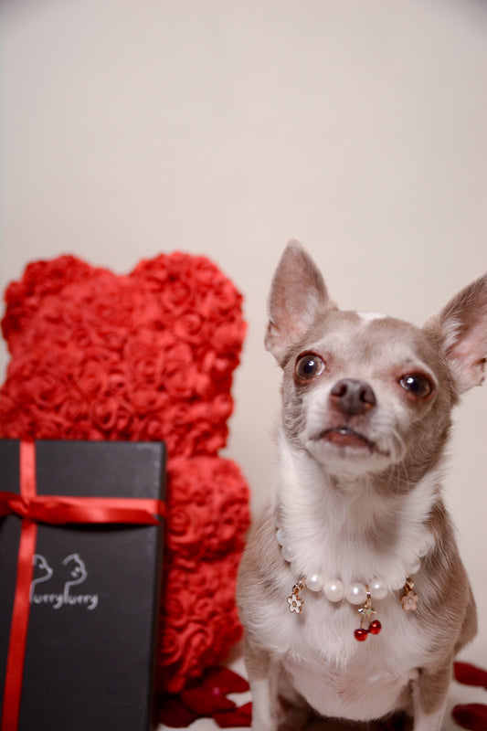 Customizable Freshwater Pearl Necklace for Dogs – Valentine Edition