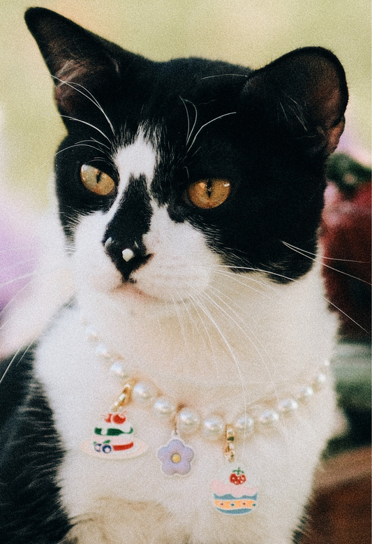 Breakaway Faux Pearl Necklace for Cats