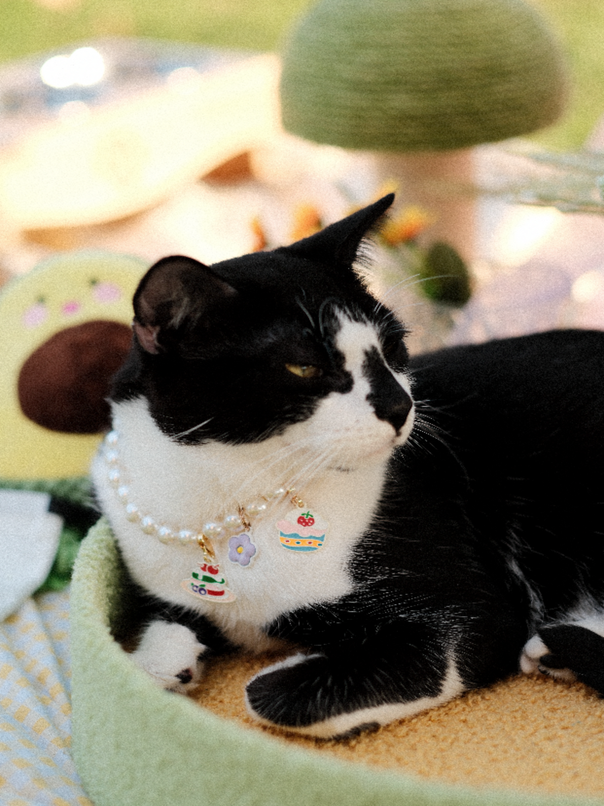 Customizable Faux Pearl Necklace for Cats