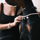 Customizable Faux Pearl Necklace for Dogs