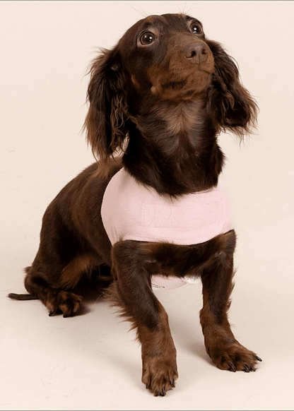 Customizable Dog Harness Set