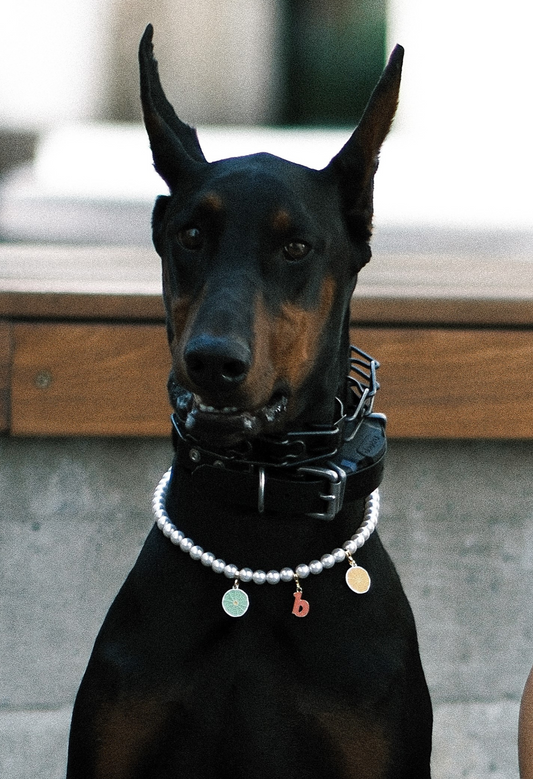 Customizable Faux Pearl Necklace for Dogs