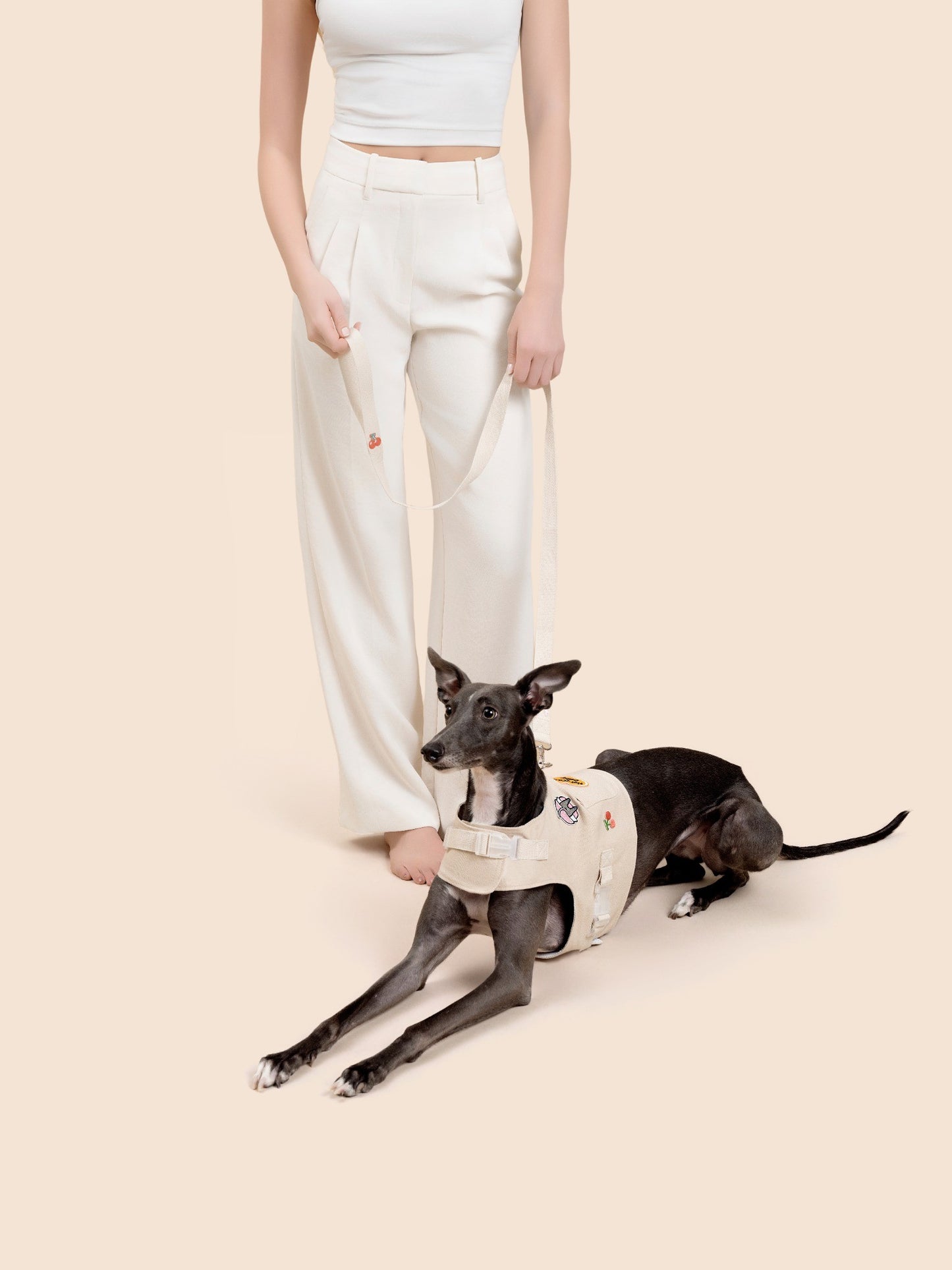 Customizable Dog Harness