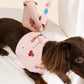 Customizable Dog Harness