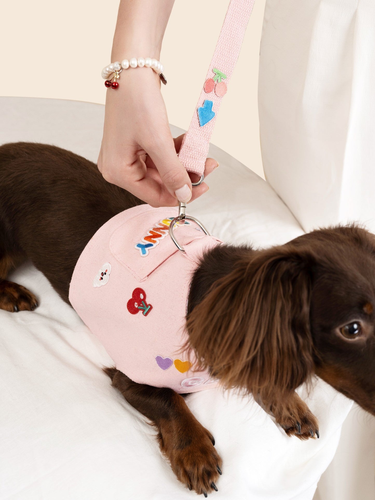 Customizable Dog Harness