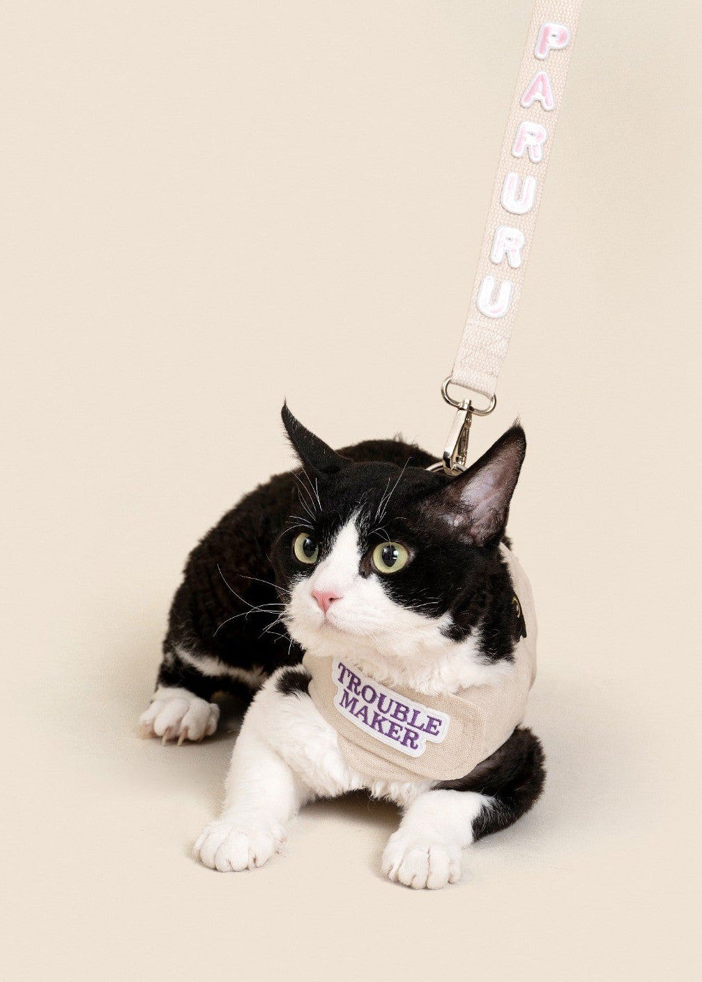 Customizable Cat Harness Set