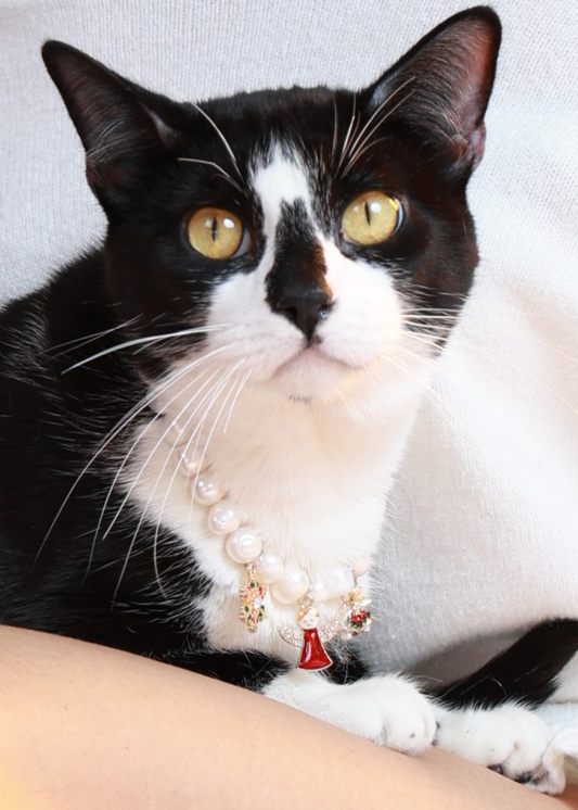 Breakaway Freshwater Pearl Necklace for Cats