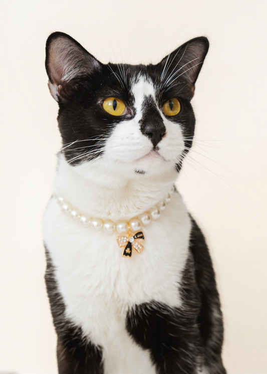 Customizable Faux Pearl Necklace for Cats