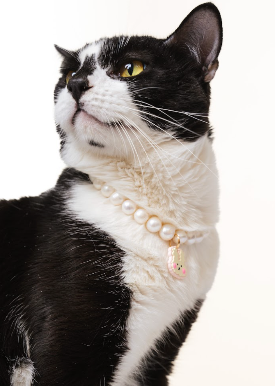 Breakaway Freshwater Pearl Necklace for Cats (Wholesale) | PurryPurry