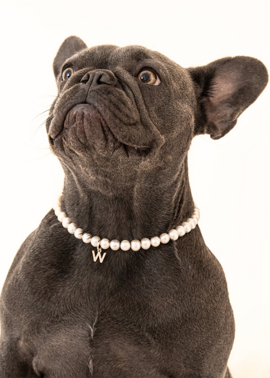 Customizable Freshwater Pearl Necklace for Dogs