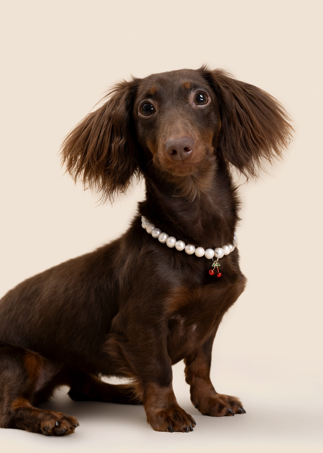Customizable Faux Pearl Necklace for Dogs (Wholesale) - view 2 | PurryPurry