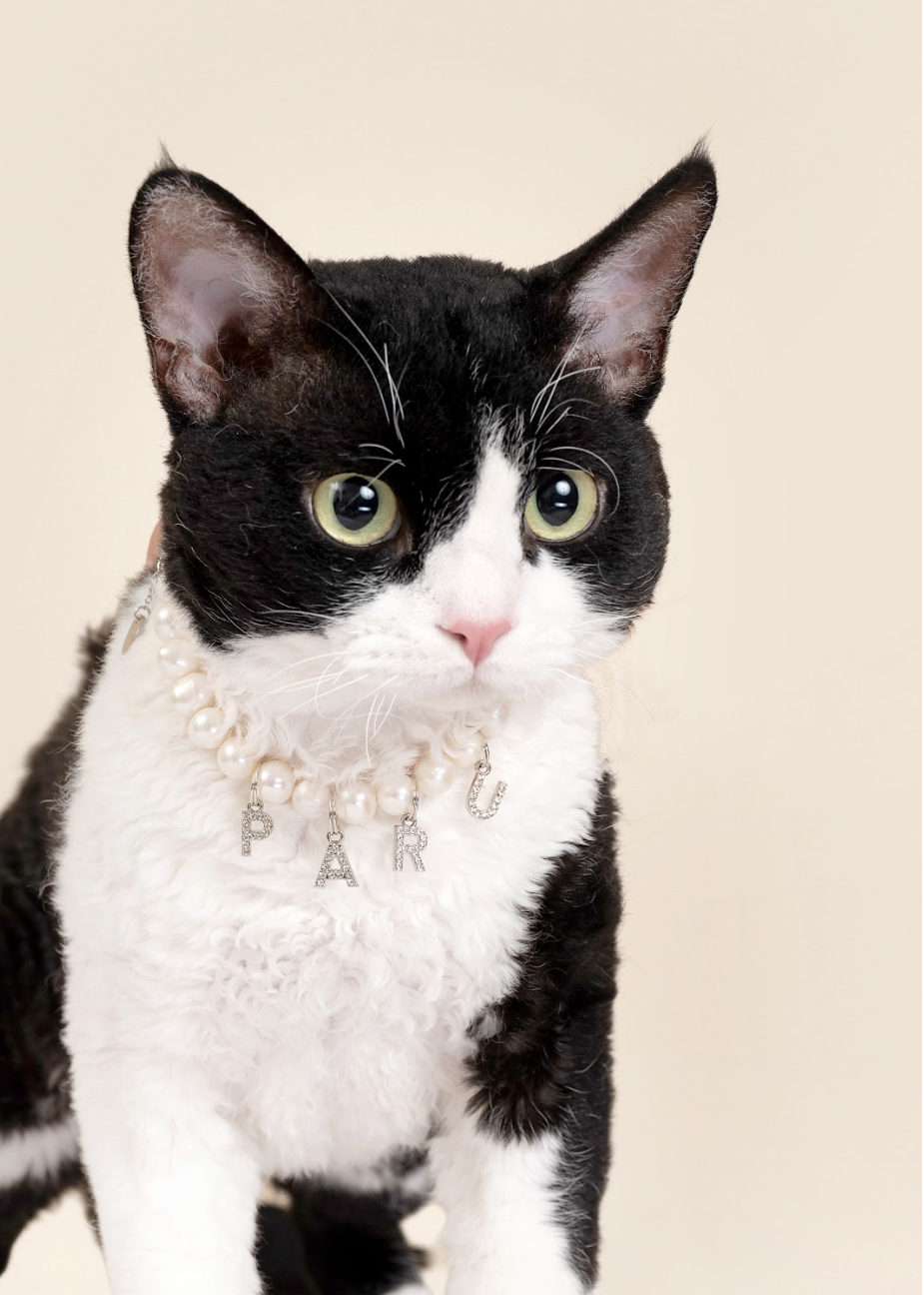 Customizable Faux Pearl Necklace for Cats