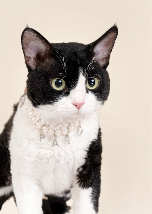 Customizable Faux Pearl Necklace for Cats