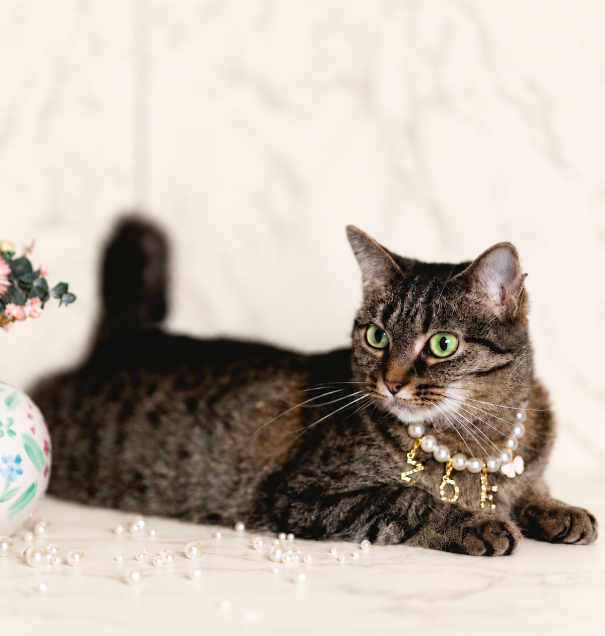 Tabby cat lying down wearing a faux pearl necklace with letter charms