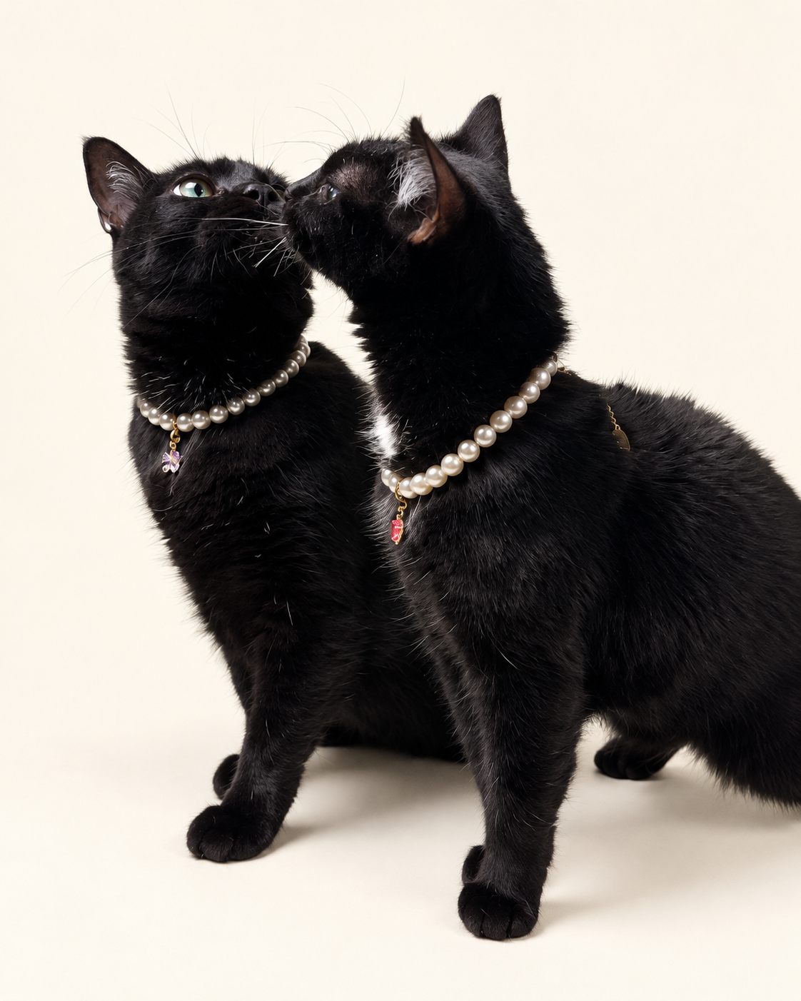 Two black cats wearing matching faux pearl necklaces with charms