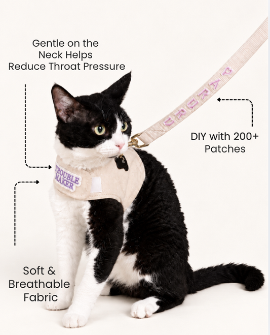Tuxedo cat in a beige harness: gentle on the neck, soft breathable fabric, decorate with 200+ patches
