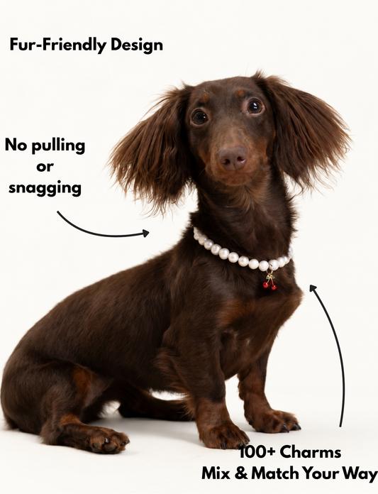 Fur-friendly design, mix and match your charms