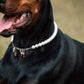 Rottweiler wearing a freshwater pearl necklace with a charm