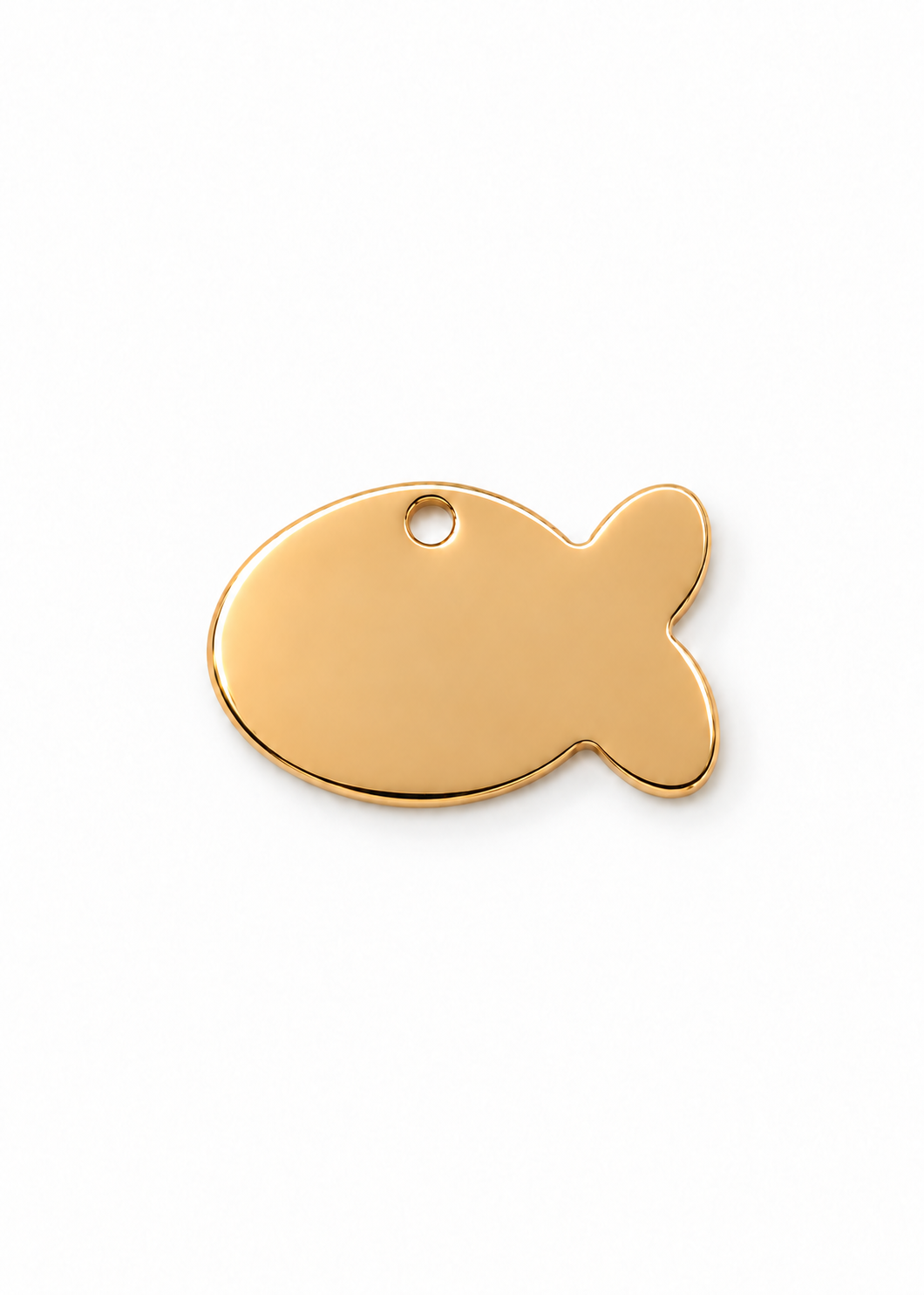Fish ID Tag