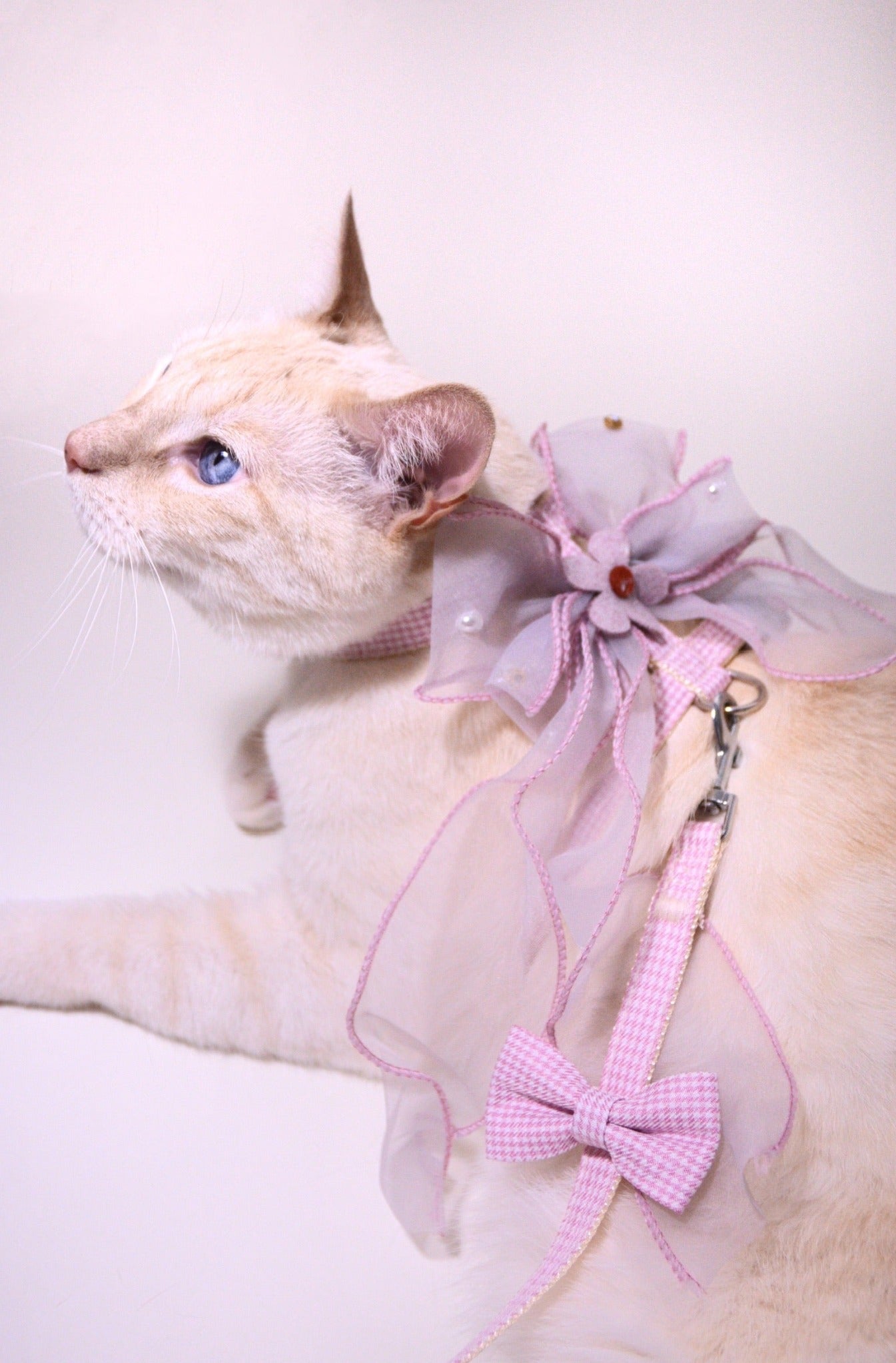 Cherry Blossom Harness Set For Cat (leash included)