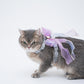 Gradient Mesh Butterfly Harness For Cat (leash included)