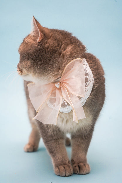 Butterfly Bow Scarf For Cat